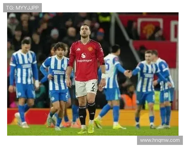 英足总杯教练球员场边斗殴观众